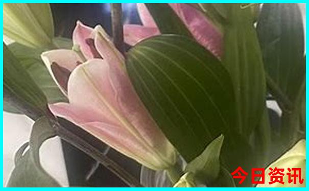 塘西河公园有哪些景点